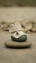 Eco-Friendly Pet Paw Guards