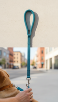 Blue Spruce Nylon Dog Leash