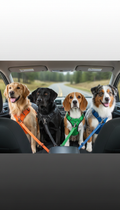 Pet Safety Seat Belt Harness