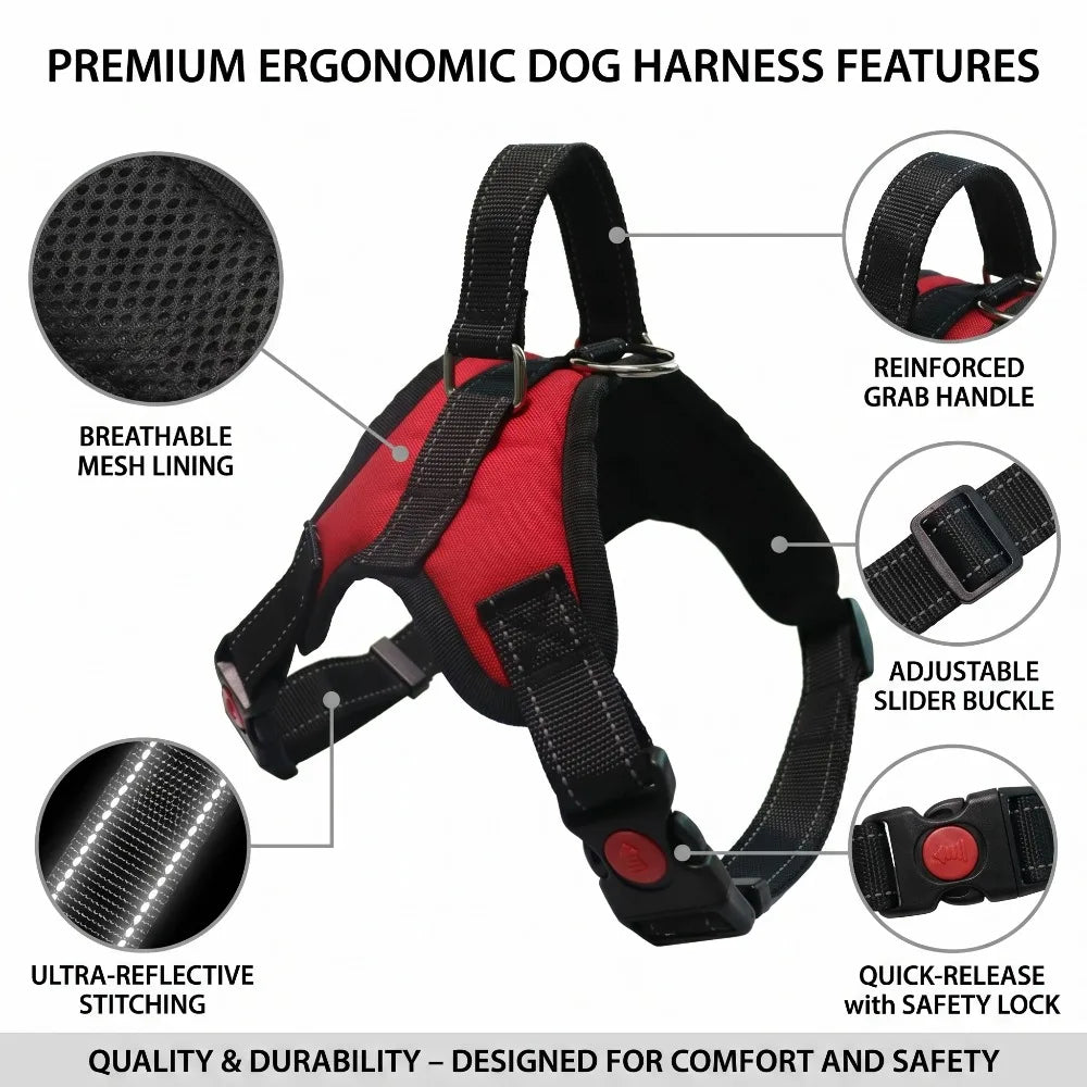 No-Pull Dog Harness — Padded Step-In Design with Reflective Stitching