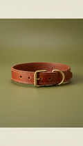 Leather Dog Collar